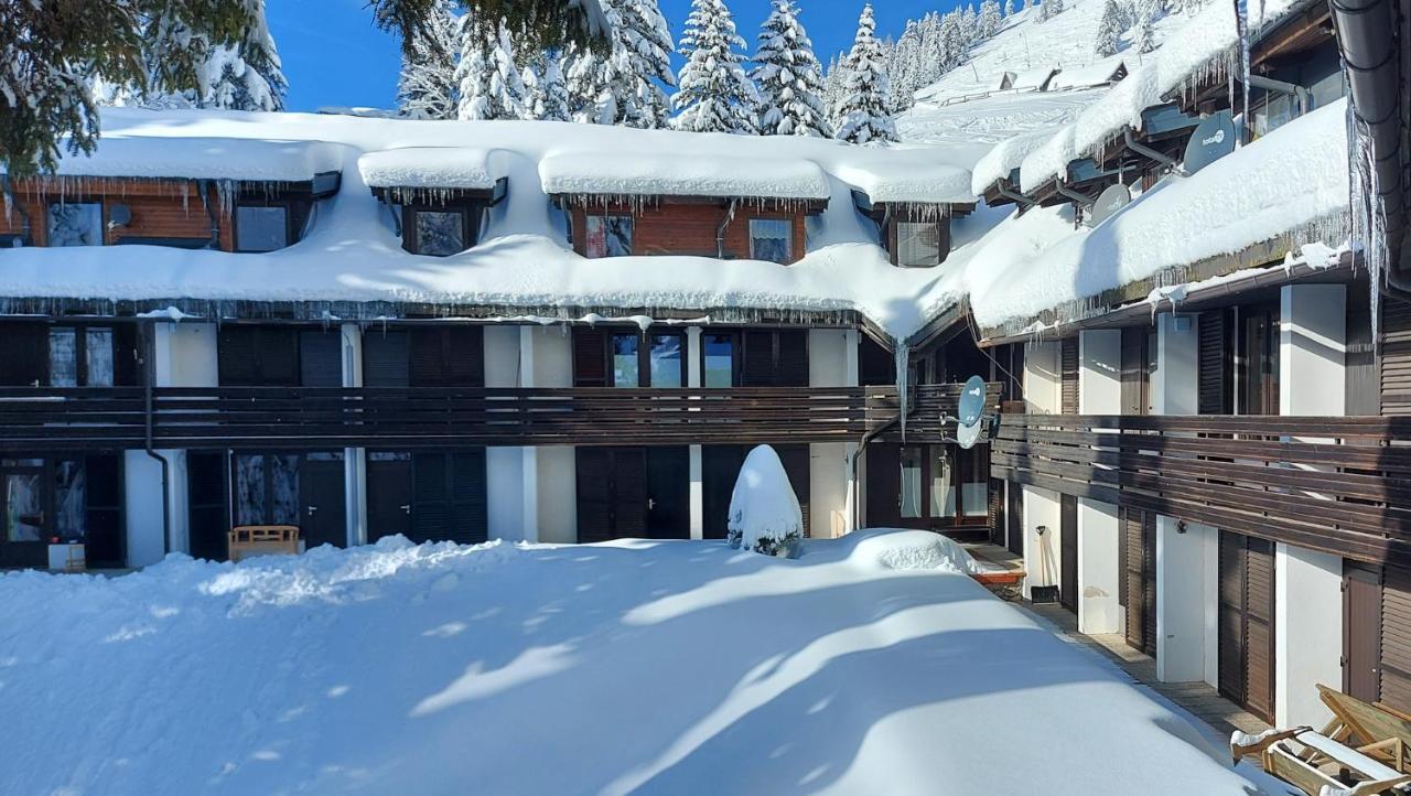 Apartma Krvavec - Cosy Mountain Retreat ツェルクニェ・ナ・ゴレニスケム エクステリア 写真