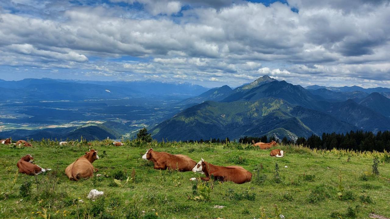 Apartma Krvavec - Cosy Mountain Retreat ツェルクニェ・ナ・ゴレニスケム エクステリア 写真